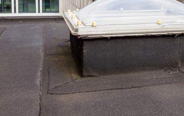 disadvantages of Preston Le Skerne flat roofs