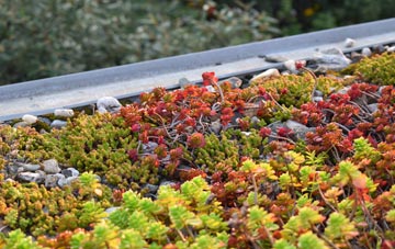 the cost of Preston Le Skerne green roof installation