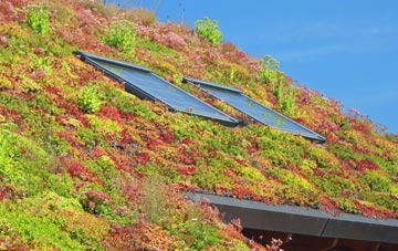 Preston Le Skerne living roof systems